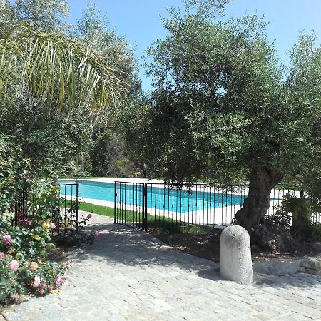 La Bastide de l'Oliveraie Le Castellet  Extérieur photo