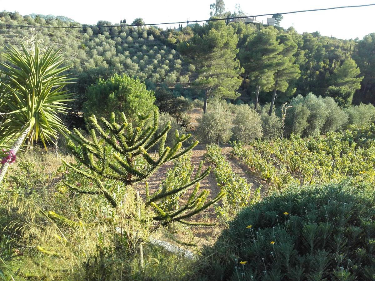 La Bastide de l'Oliveraie Le Castellet  Extérieur photo