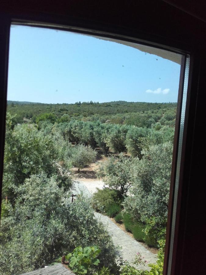 La Bastide de l'Oliveraie Le Castellet  Extérieur photo