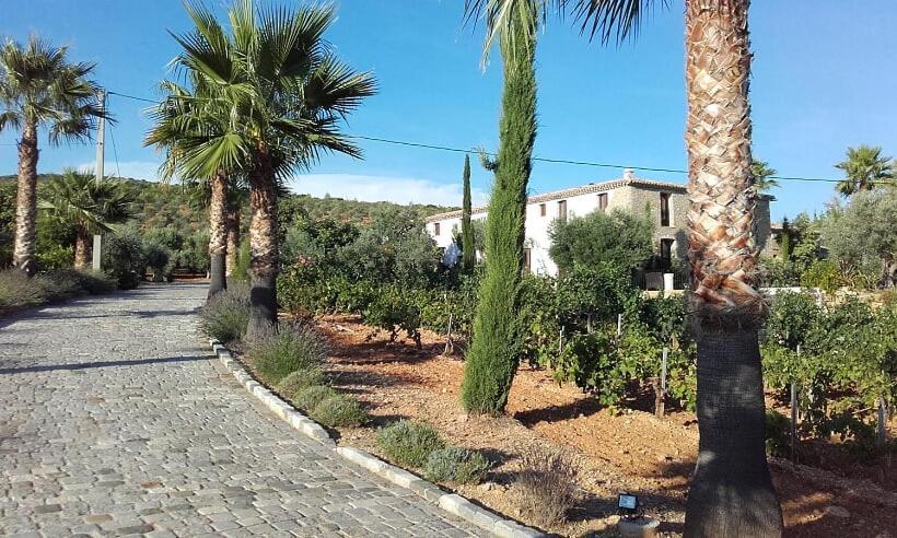 La Bastide de l'Oliveraie Le Castellet  Extérieur photo